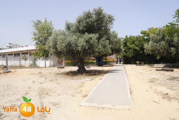 droorelramla605 (11).JPG